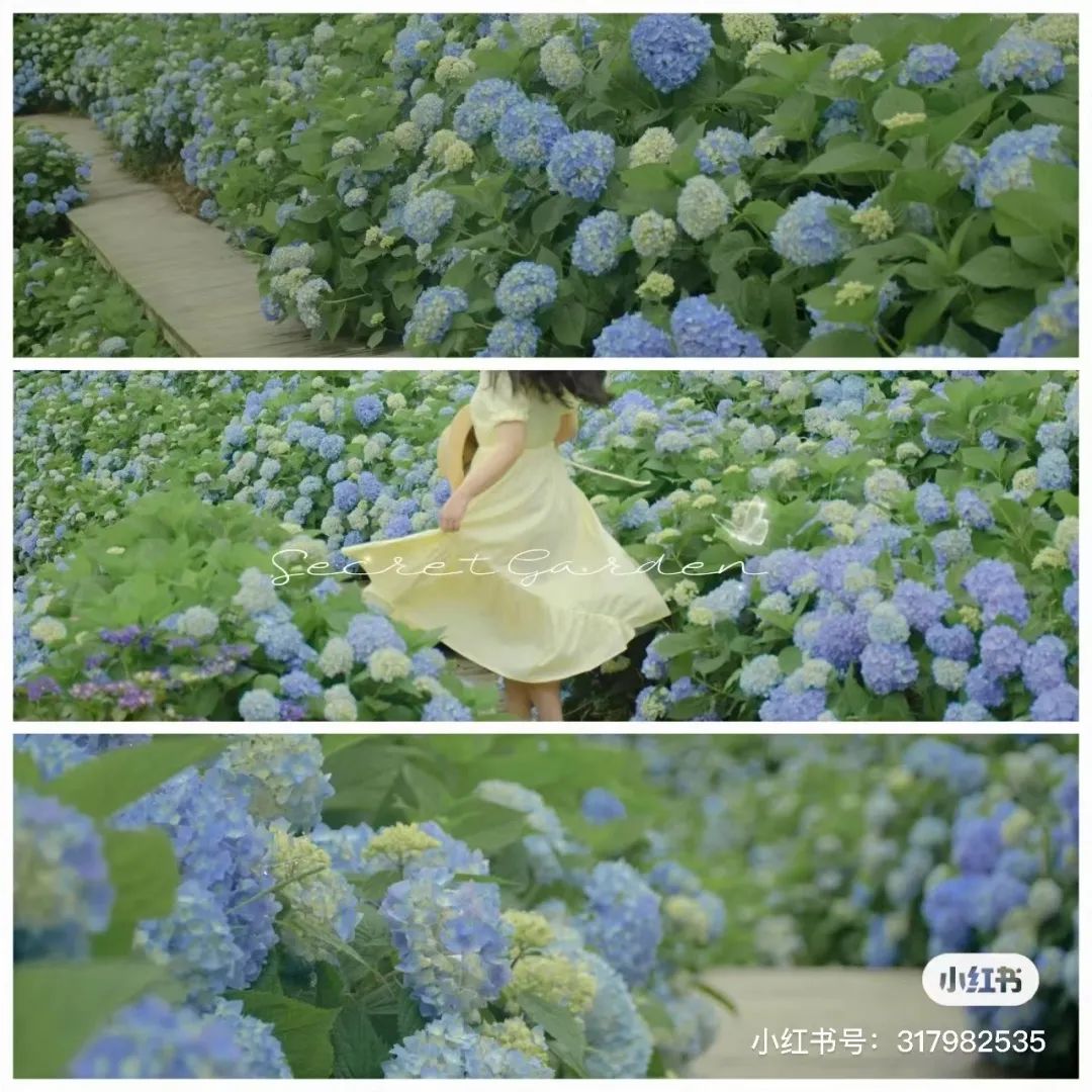 微信图片_20250520103003.jpg