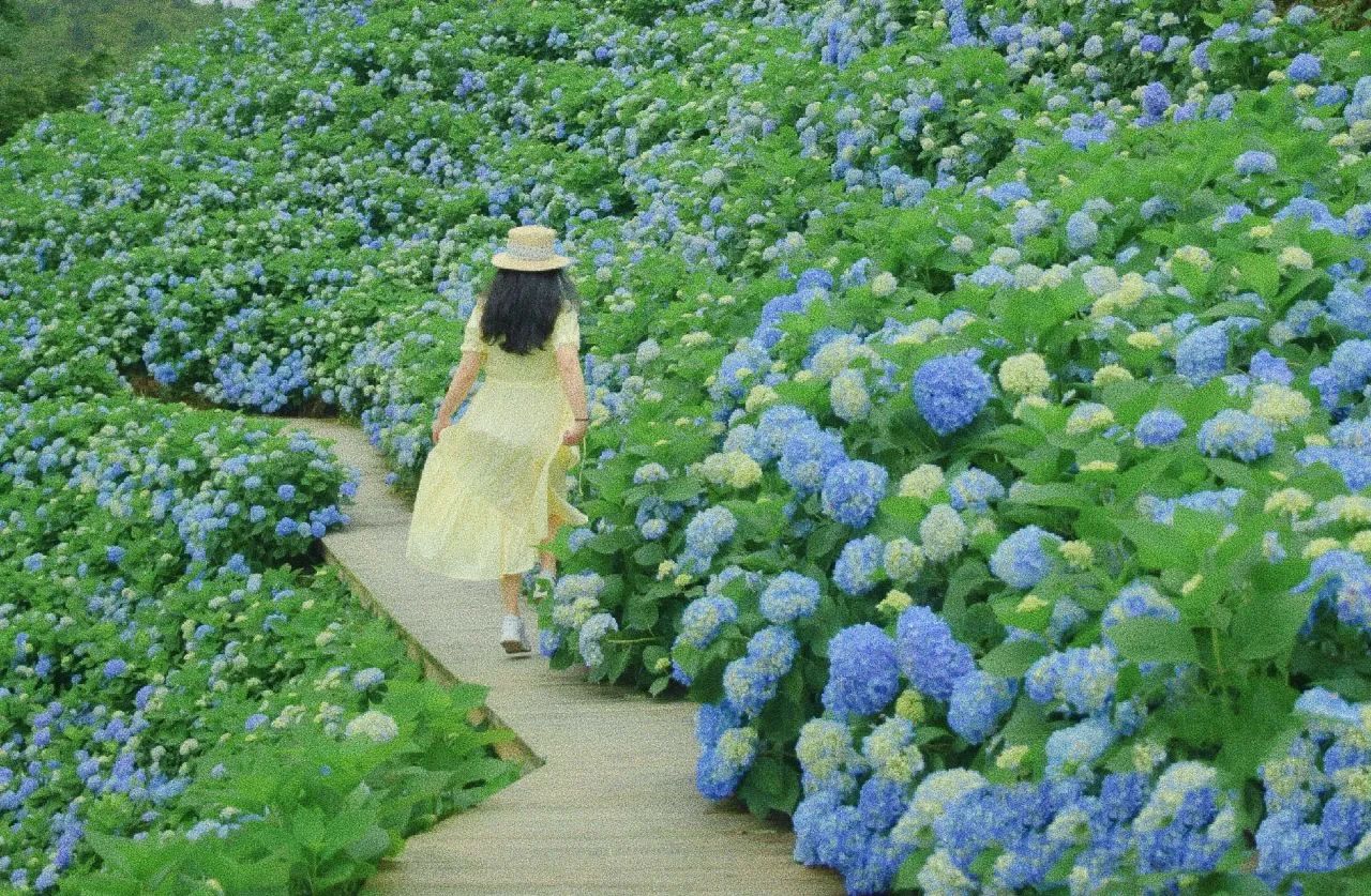 微信图片_20250520103044.jpg