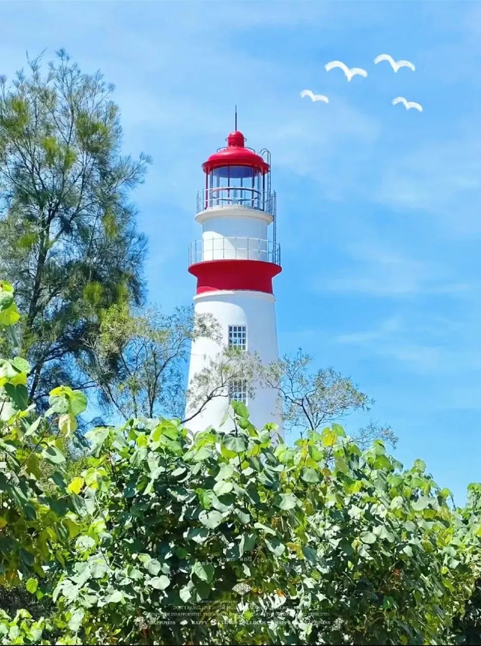 684a5649a4130.jpg 微信图片_20250612122234.jpg